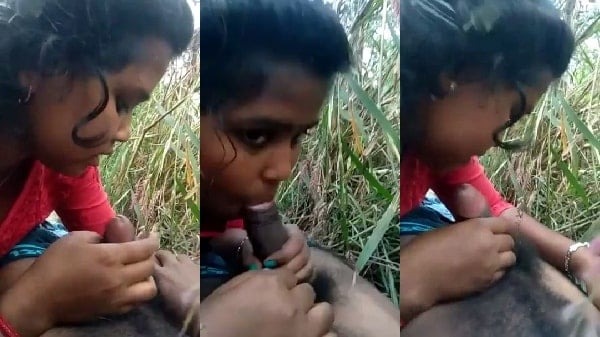 खेत मे लंड चुस्ती देहाती लड़की